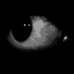 eyes4